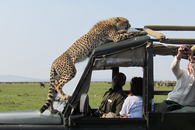 5 Days Wildlife Adventure - Mombasa - Wildlife Safari Schedule
