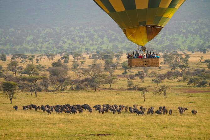 5 Days Wildlife Safari - Pickup and Additional Information