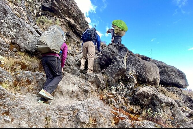 5 Nights and 6 Days on the Mount Kilimanjaro Marangu Route - Itinerary Highlights