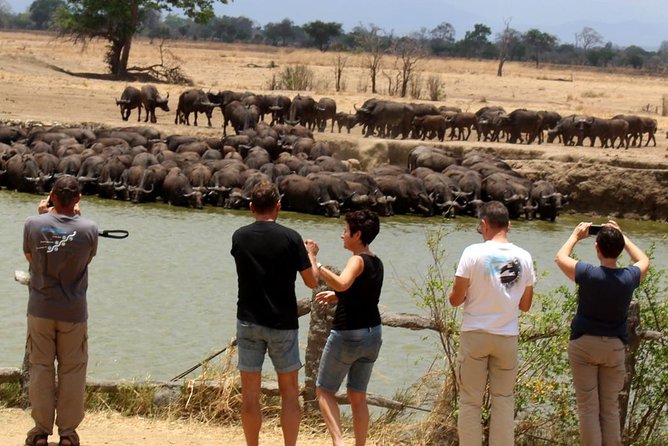 5day Nyerere Off Bitten & Mikumi Adventure Safari - Meals and Pickup Details
