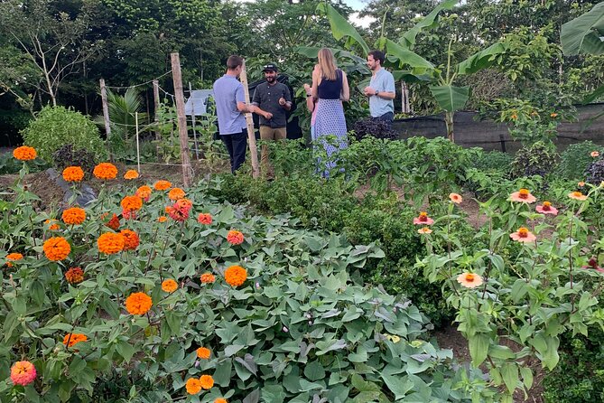 6 Course Tropical Rainforest Foodie Adventure - Meeting Point Details