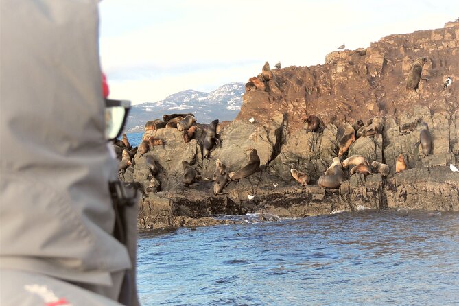 6-Day Best of El Calafate & Ushuaia Tour - Itinerary Highlights