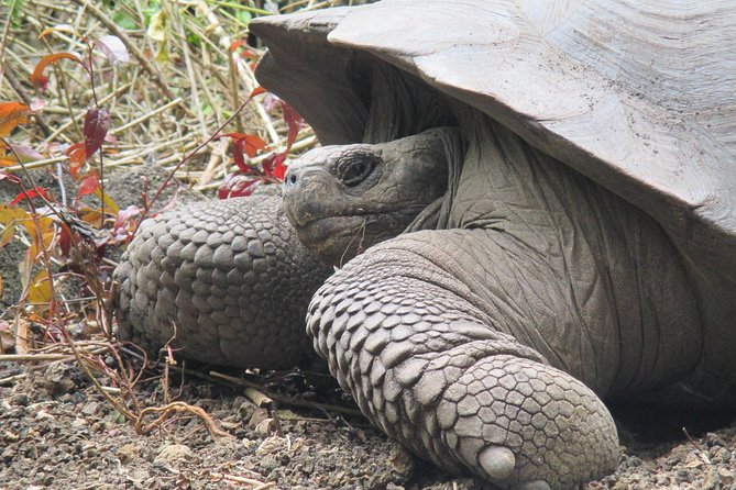 6-Day Galapagos Hotel-Based Tour: Snorkel,Hike,Wildlife in Isabela & Santa Cruz - Meeting Point