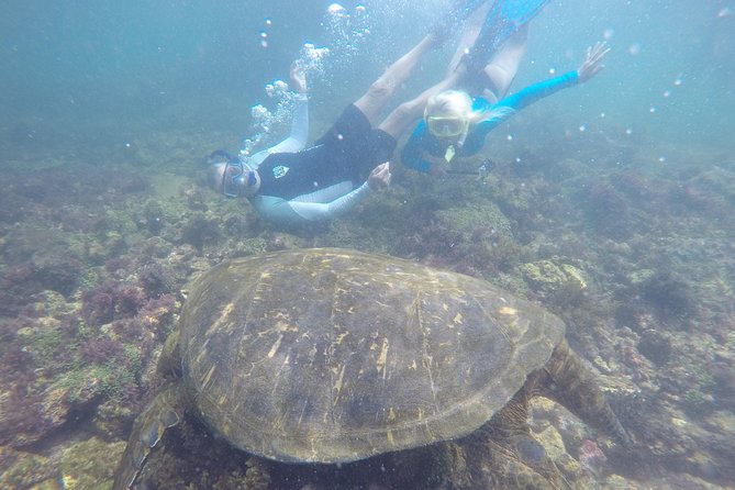 6-Day Land Tour in San Cristobal & Santa Cruz: Kicker Rock, Floreana & Santa Fé - Itinerary Overview