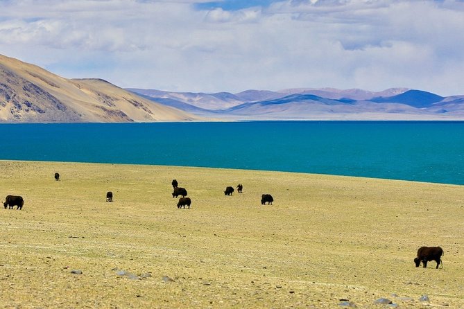 6-Day Small Group Lhasa City and Holy Lake Namtso Tour From Suzhou - Itinerary Overview