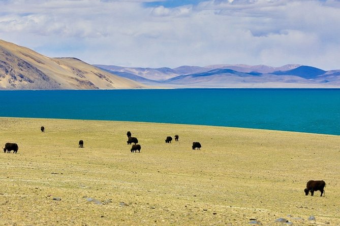 6-Day Small Group Lhasa City and Holy Lake Namtso Tour