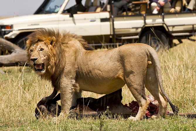 6-Day Tanzania Best Camping Safari From Arusha - Inclusions and Amenities
