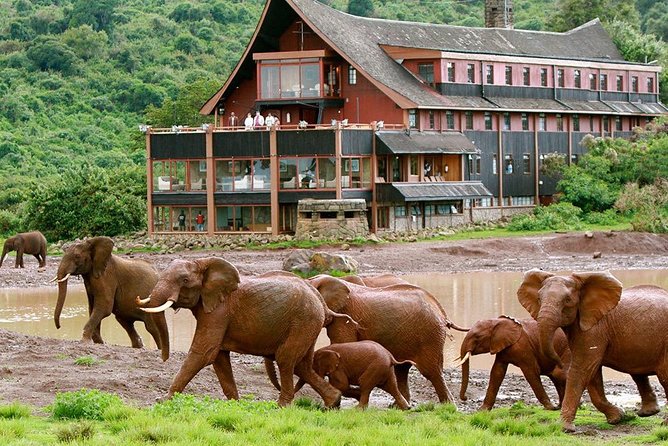 6 Days Aberdares, Lake Bogoria & Masai Mara Wildlife Safari
