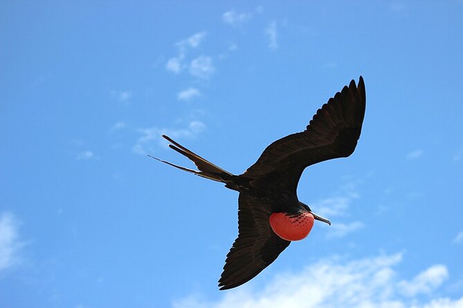 6 Days Galapagos Island Hopping - Accommodation