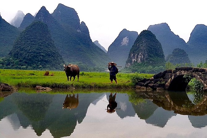 6 Days Private Tour From Shanghai to Guilin With Flight Ticket
