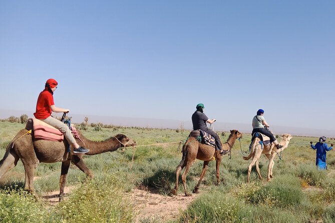 6 Days TREKKING IN SAHARA DESERT FROM MHAMID - Cancellation Policy