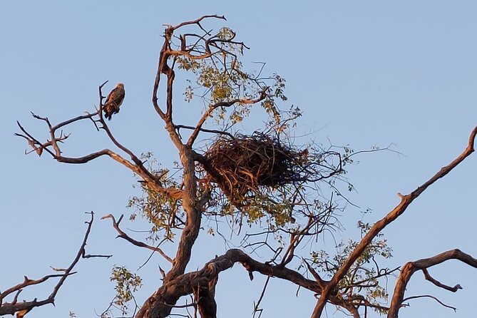 6 Days Victoria Falls Chobe Wildlife and Okavango Delta Tour - Itinerary Overview