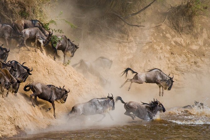 6 Days Wildebeest Migration Safaris