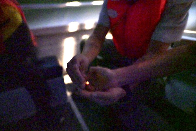 6-Hour Private Tour to Kuala Selangor Fireflies and Blue Tear - Tour Itinerary