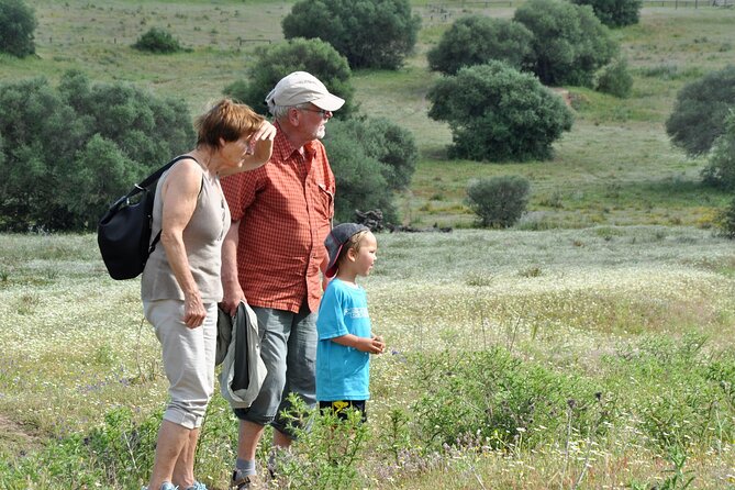 6 Hrs Private Tour of Northern Doñana - End Point and Start Time