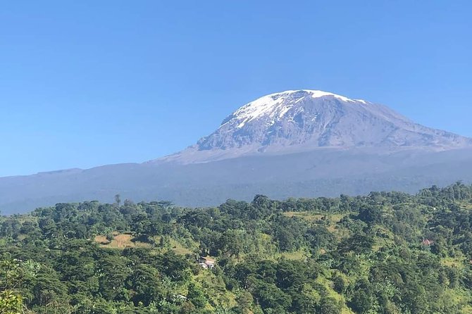6days Mount Kilimanjaro Trekking Machame Route - Health and Safety Considerations