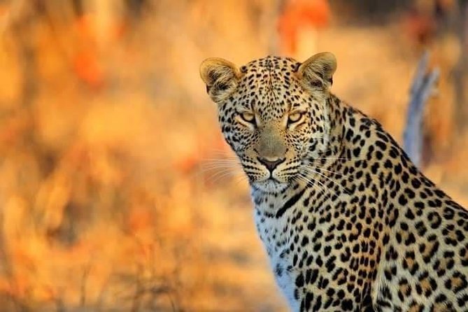 7 Day Experience Wildlife Nature and Culture Mikumi / Udzungwa & Ruhaa Park - Itinerary Overview