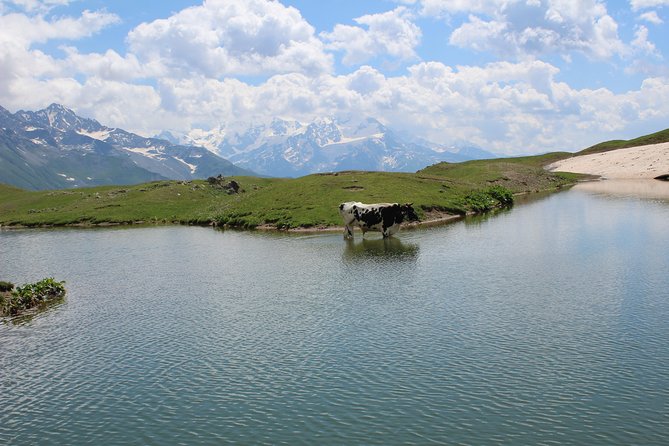 7 Day Hiking Tour in Svaneti - What To Expect