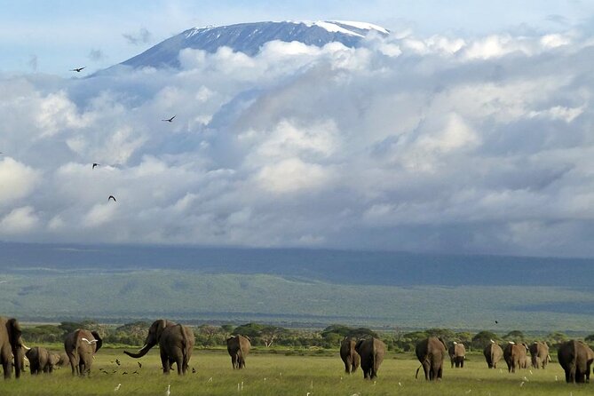 7-Day Private Tour in Kenyas National Parks