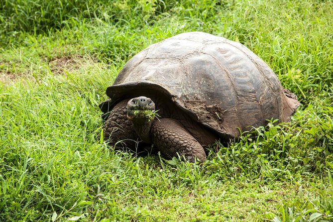 7-Day Quito, Galápagos & Guayaquil - Important Notes