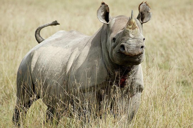 7 Days / 6 Nights Join Group Safari - Meals Included
