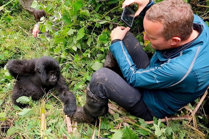 7 Days Gorilla, Bisoke Hiking And Columbus Monkey Safari (min 2 ) - Meeting and Pickup Details