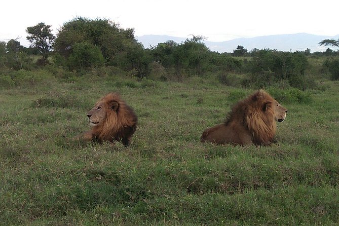 7-Days Honeymooners Tours - Tour Overview