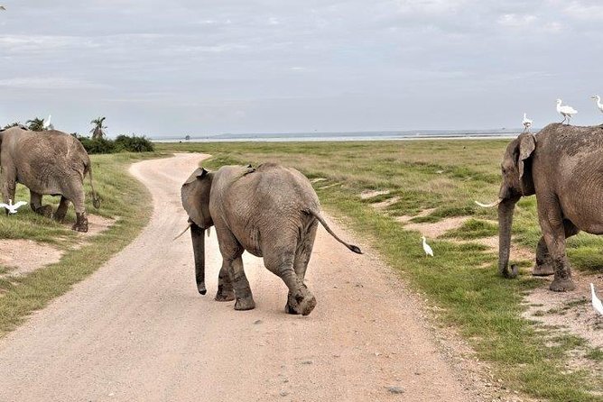 7 Days Kenya and Tanzania Wildlife Safari - Accommodation Details