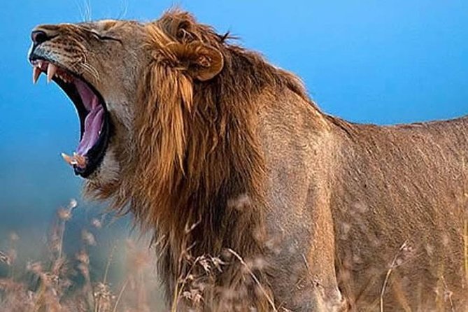 7 Days Kenya Cycling Wildlife Tour Adventure - Cultural Experience