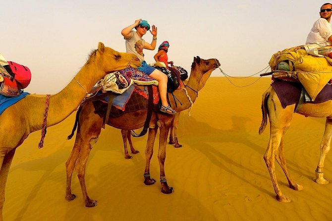 7 - Days Private Romantic Rajasthan Tour With Udaipur - Jodhpur - Jaisalmer - Udaipur Highlights