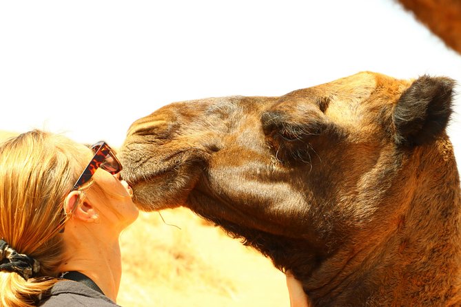 7 Days Private Tour From Casablanca: the Big Kasbah Explorer - Itinerary Overview