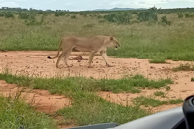 7 Days Safari and Beach Holiday Package From Mombasa - Itinerary Highlights