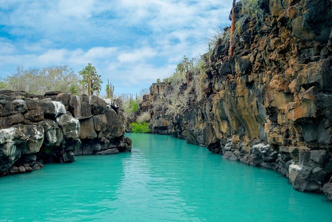 7 Days Tour in Quito and Santa Cruz/Galapagos - Best of Ecuador - Itinerary Overview