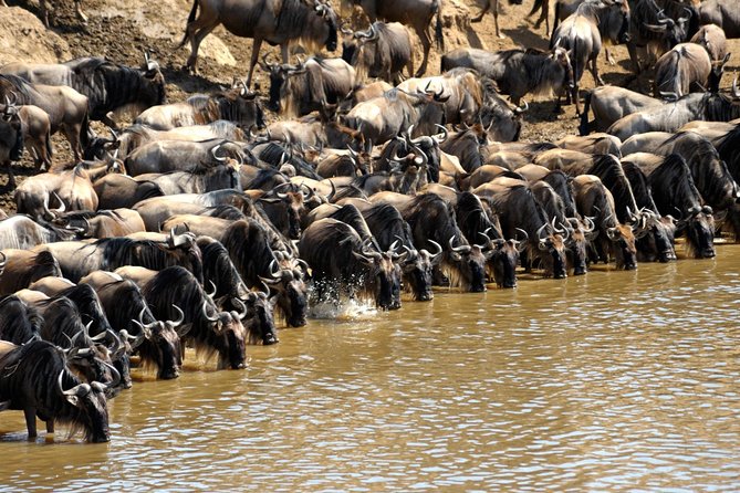 7 Days Tuji- Enjoy Kenya Safari (MINIMUM 2 PAX)