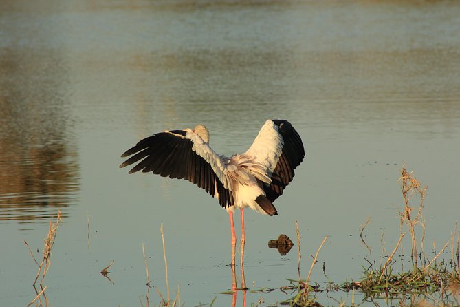 7 Days Unforgettable Delta Experience Package - Inclusions and Exclusions
