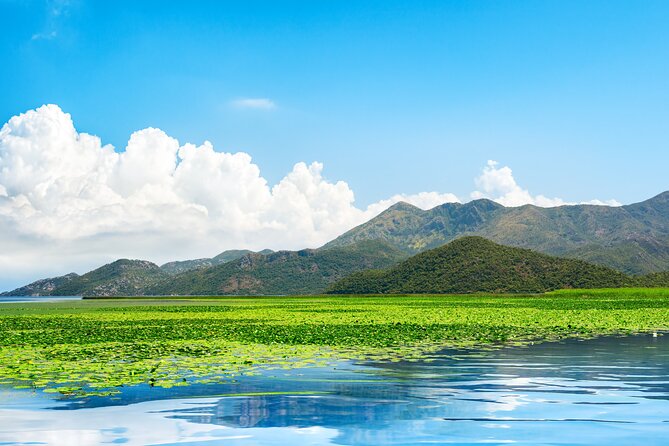 7-Hours Private Guided Wine and Gastro Tour in Skadar Lake - Included Experiences