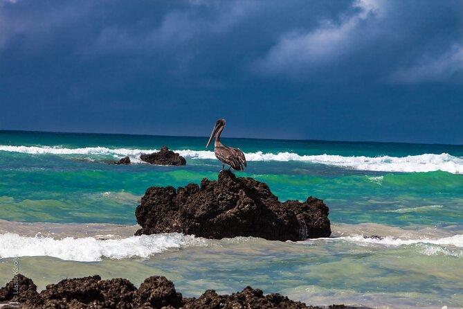 8-Day Galapagos Island Hopping Backpack Style: Los Tuneles and Kicker Rock