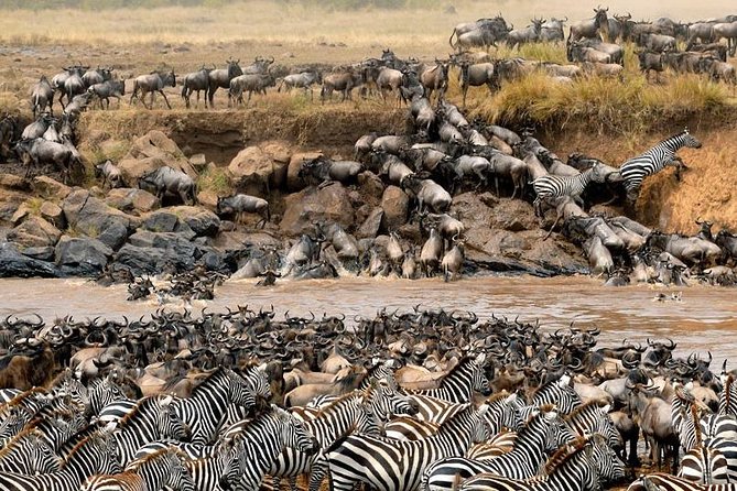 8 Days Masai Mara Wildebeest Migration Safari Adventures