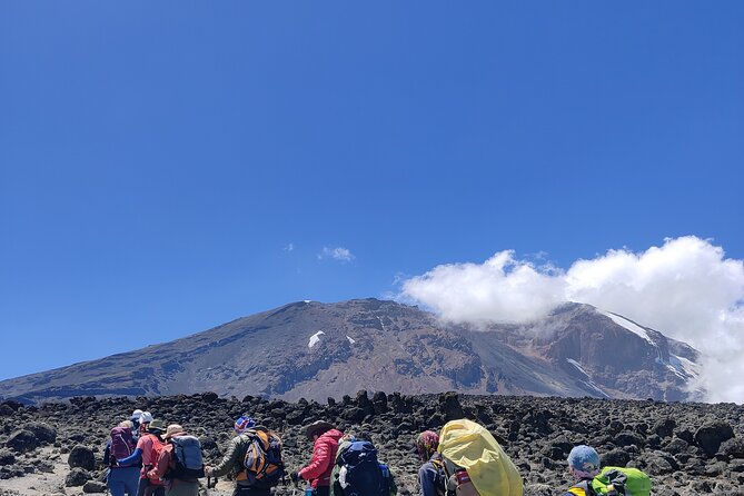 8 Days Mount Kilimanjaro Climb Lemosho Route - Acclimatization Strategy