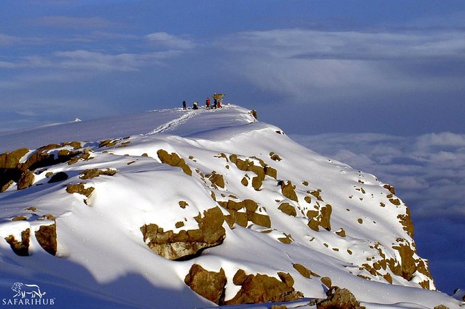 8 Days Mount Kilimanjaro Lemosho Route Climb - Day 2: Forest Camp to Shira 1 Camp