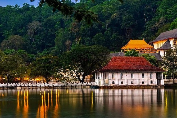 8 Days Private Cycling Tour of Sri Lanka From Colombo - Accommodation and Transport Details