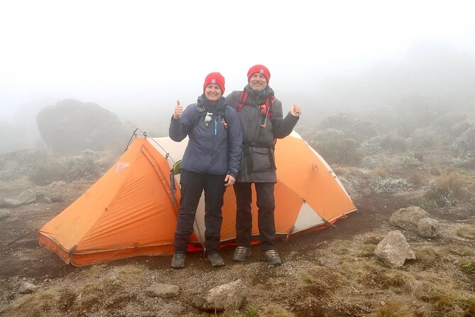 8-Days Private Lemosho Hiking Tour Kilimanjaro in Tanzania - Tour Overview