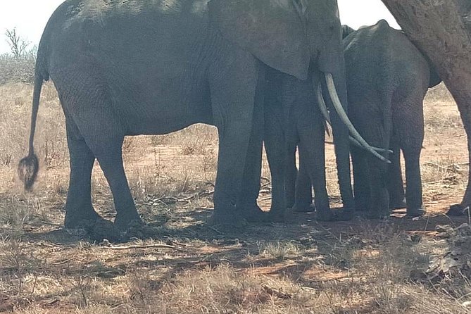 8 Days Safari Masai Mara Migration