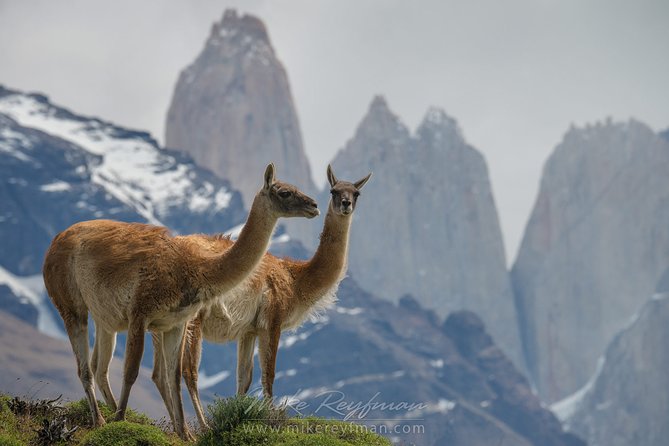 8-Days Unique Experience in Easter Island & Chilean Patagonia - Tour Highlights
