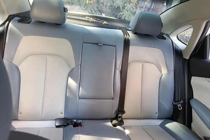 8 Hours Private Car Transport in Wuhan China - Transportation Options