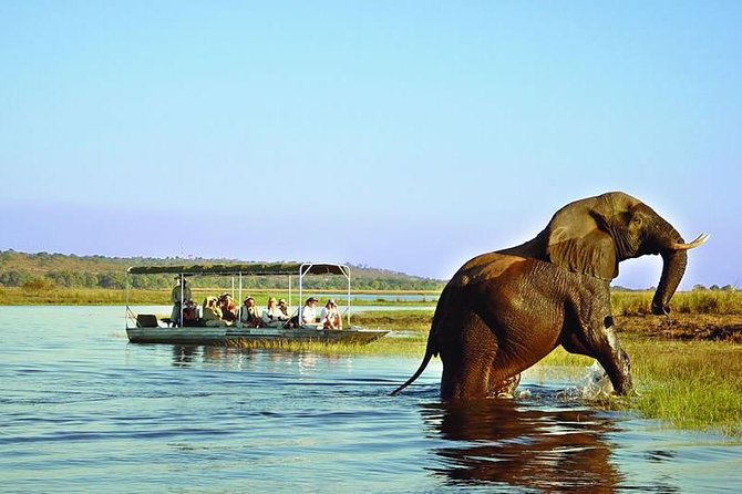 9-Day and 8-Night Zimbabwe Safari Plus Chobe Day Trip to Botswana - Safari Itinerary Overview