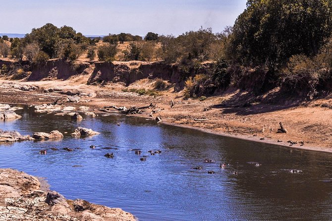 9-Day Cruise Kenya Safari With DALA (Customisable) - Cruise Itinerary Overview