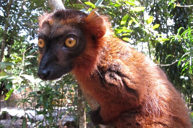 9 Days East of Madagascar Tour - Accommodation Details