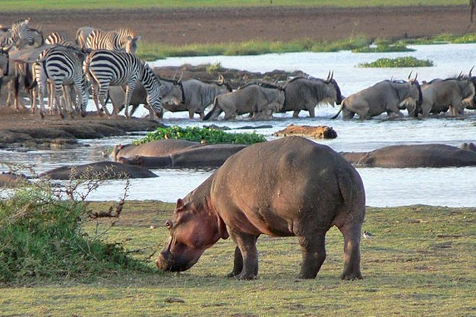 9 Days Unforgettable Tanzania