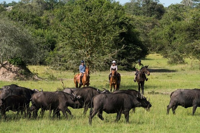 9-Nights Budget Safari: Mountain Gorillas, Primates & Wildlife - Inclusions and Exclusions